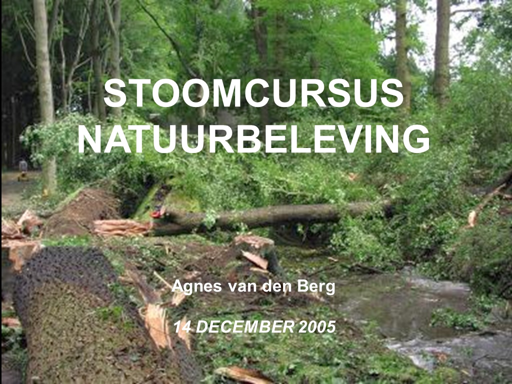 stoomcursus natuurbeleving