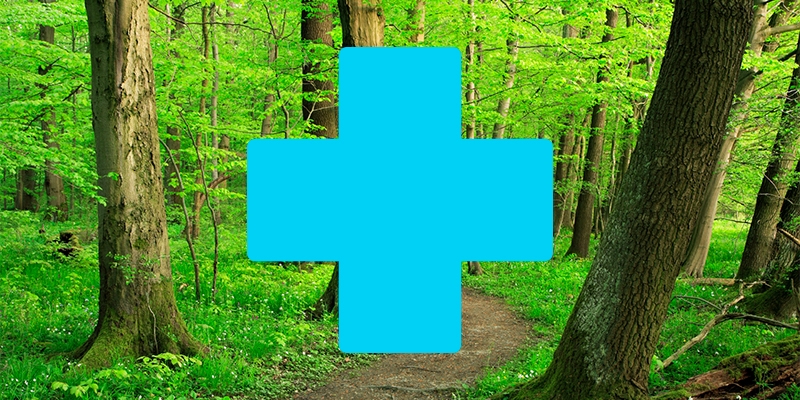 links nature and health